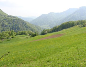 Kmetijska krajina Slovenije, foto.: Mitja Zupančič