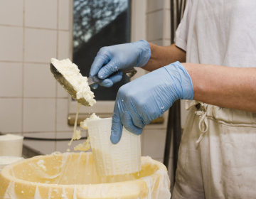 Predelava mleka (vir: Freepik)