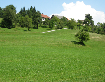 V RKG prijavljene obdelane kmetijske površine, foto Lidija Diklič