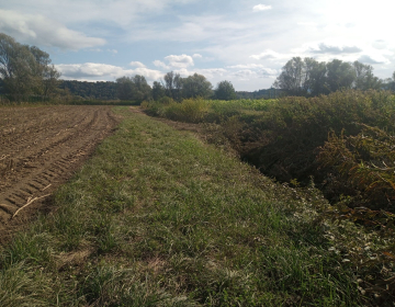 vir: arhiv KGZS-Zavod CE