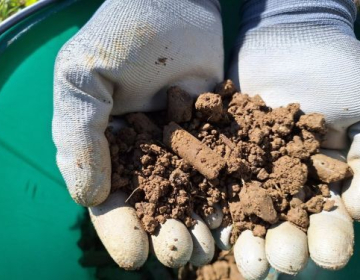 S sondo odvzet vzorec tal za analizo tal, Foto IGŠ 2025