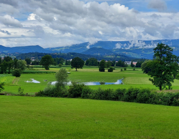 Agromelioracija – izboljšanje kmetijskih zemljišč