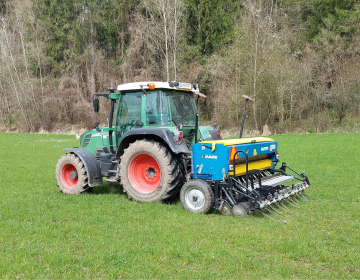 Vsejavanje v travno rušo (foto: Andreja Marguč Kavc)