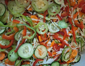 Vložnine za oskrbo z zelenjavo pozimi, Foto IGŠ, 2025