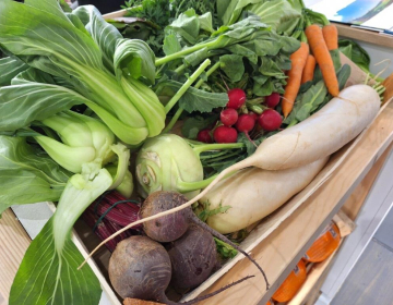 Predelava zelenjave za zimske shranke, Foto IGŠ 2025