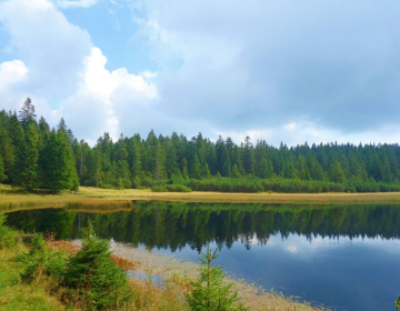 Črno jezero, Regijski park Pohorje (foto: T. Plak)