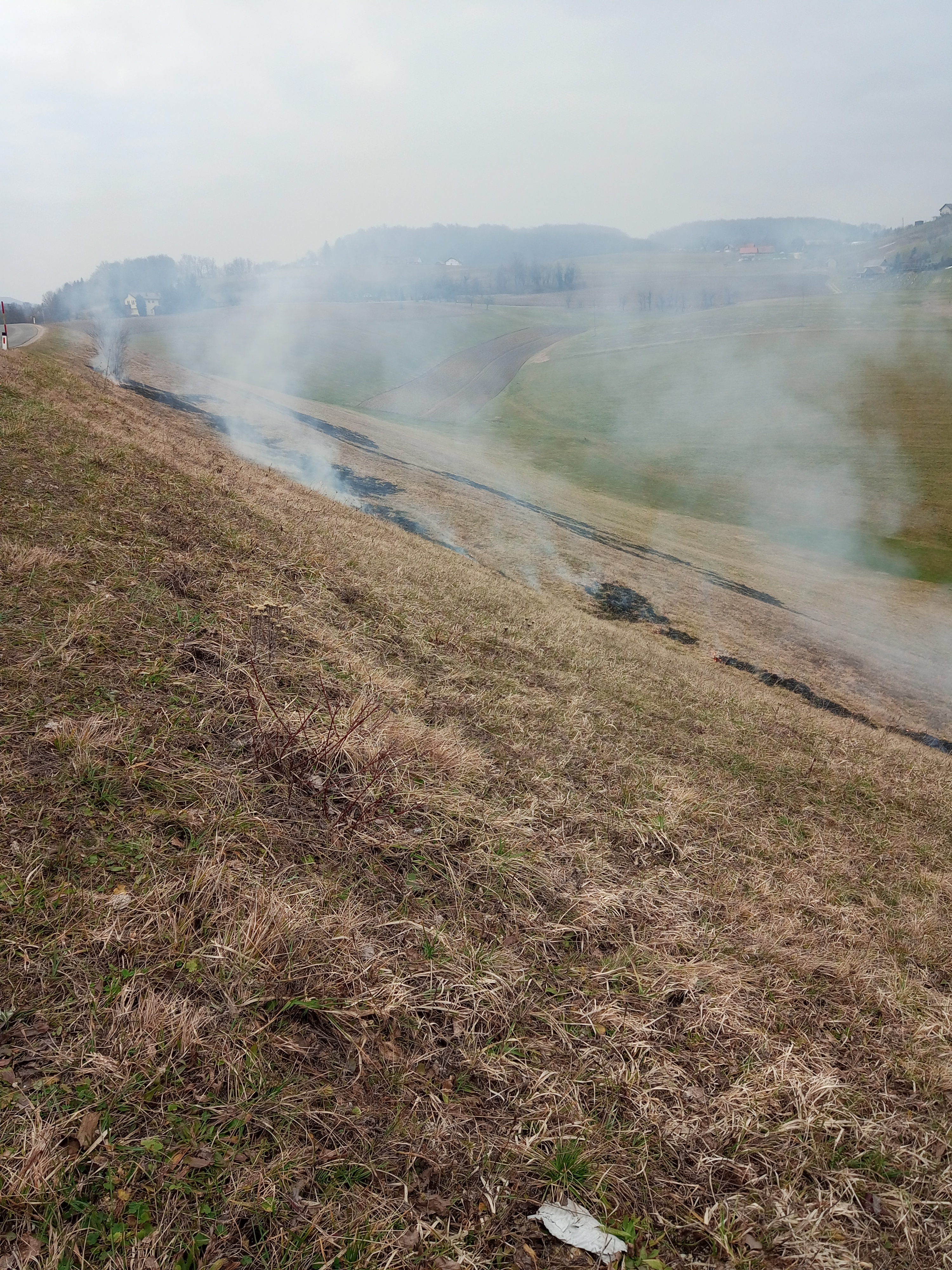 Kurjenje travnika, foto: T. Pevec