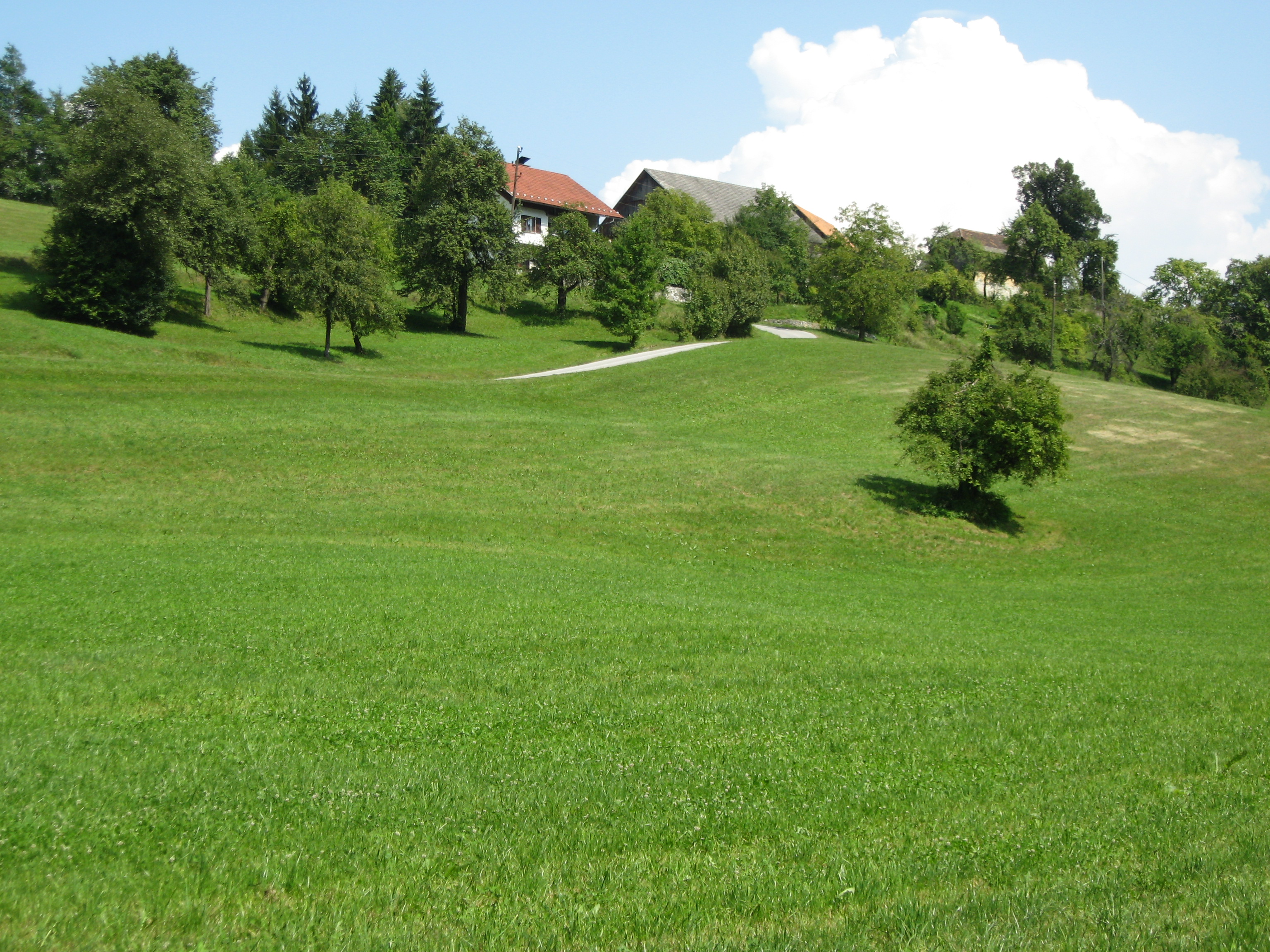 V RKG prijavljene obdelane kmetijske površine, foto Lidija Diklič